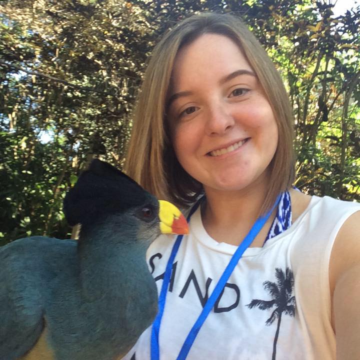 Katelyn Brink (Katelyn_Brink) profile | Padlet