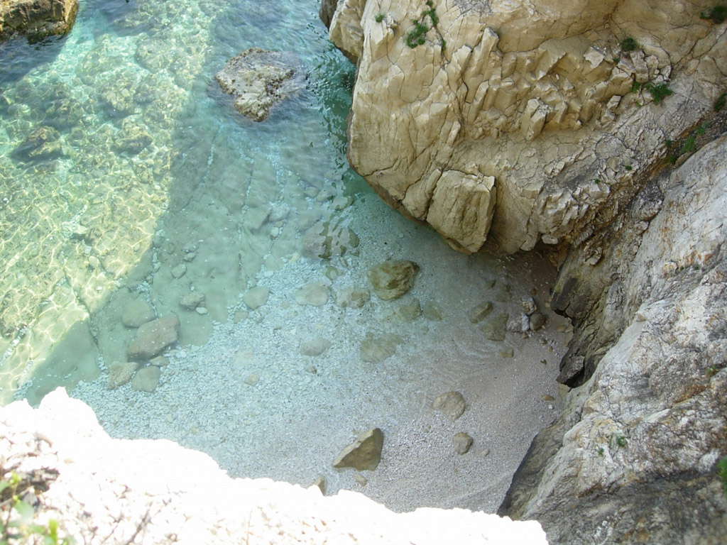 Daniela Daniela Zambrini Profile Padlet